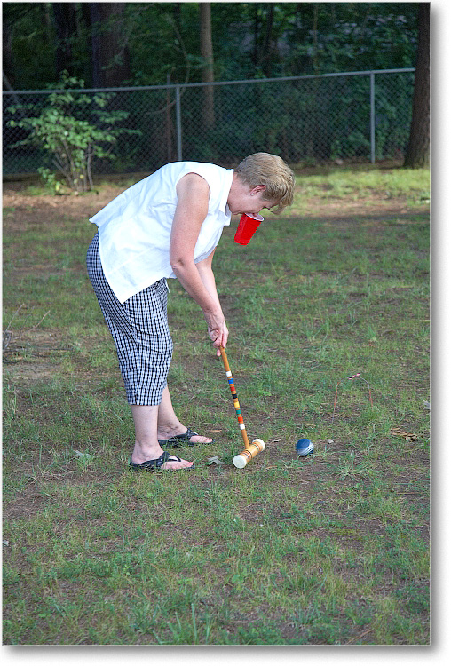 LawnCroquet_July2008_E0K9333 copy