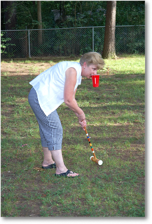 LawnCroquet_July2008_E0K9341 copy