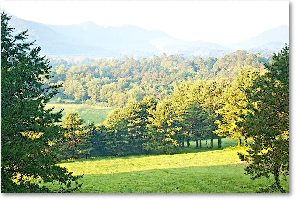 NorthGeorgia-2005June-DillardGA-1FFT7423 copy