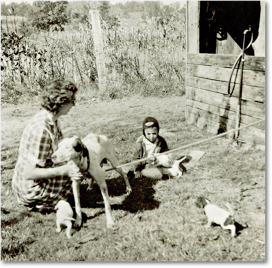 1948 Belle_Star_copy copy