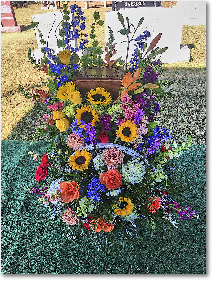 SusansFlowers_OakHill_2025Aug_IMG_2073 copy