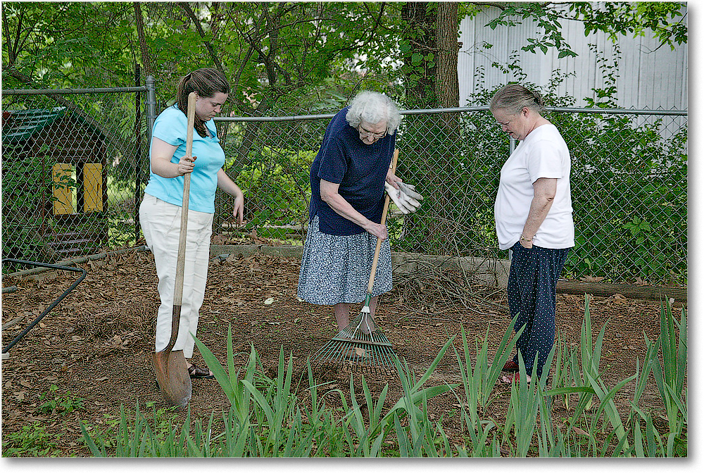 2004-6 Digging Bulbs 1FFT5327 copy