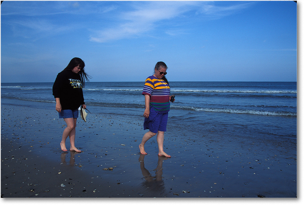 92-6 Shelling on Assateague Beach copy