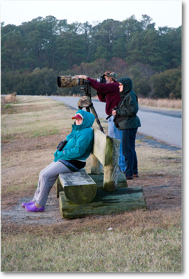 Becca_Chinco_2008Nov_VE0K9385 copy