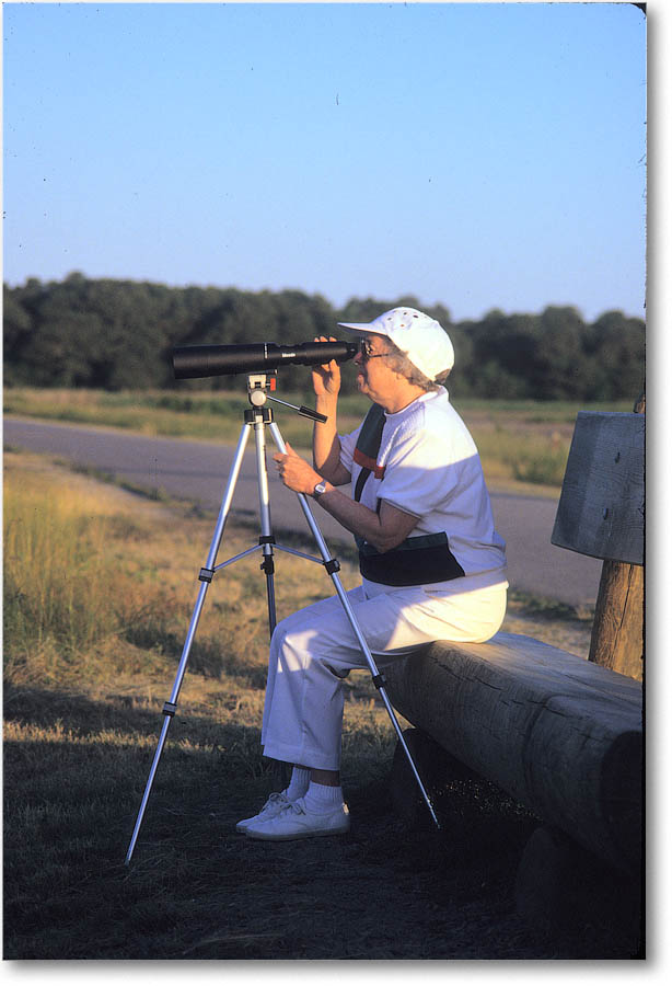 Joyce_ChincoNWR_1993July_PP10_26 copy