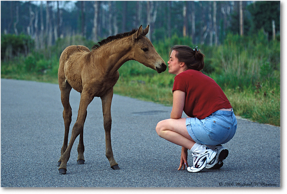 Pony&Admirer 00-6 copy