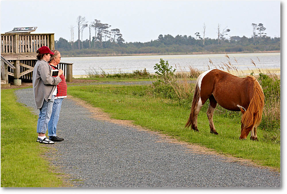 SusanBecca_Chinco__2009May_1D3A0112 copy