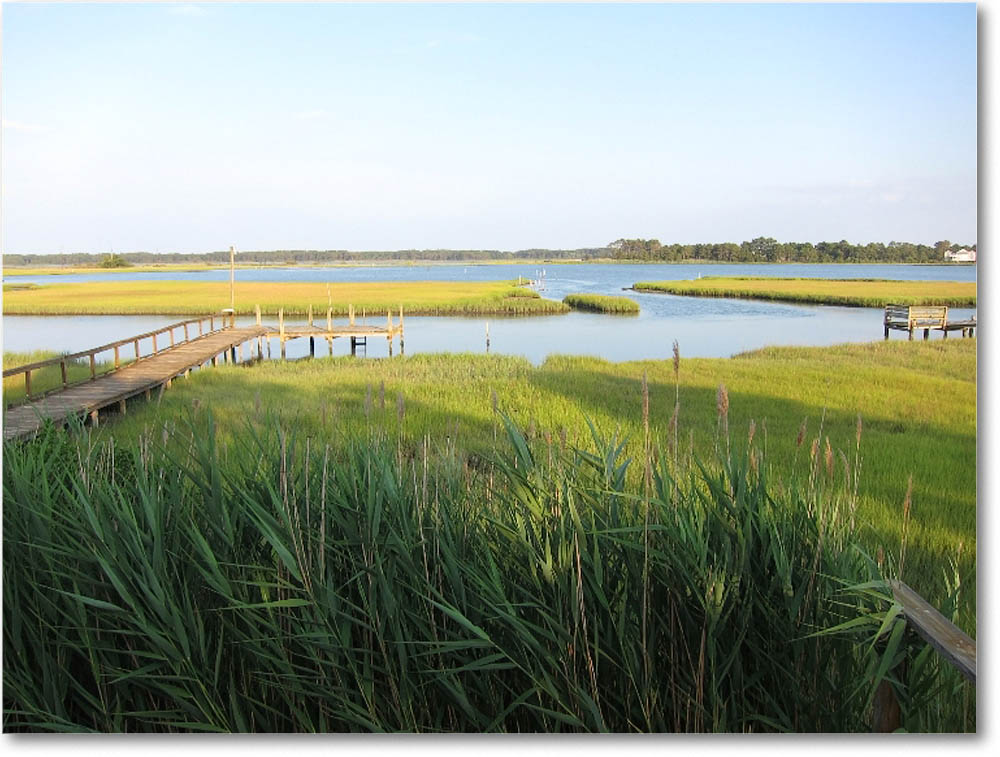 Chinco_2010June_0004 copy