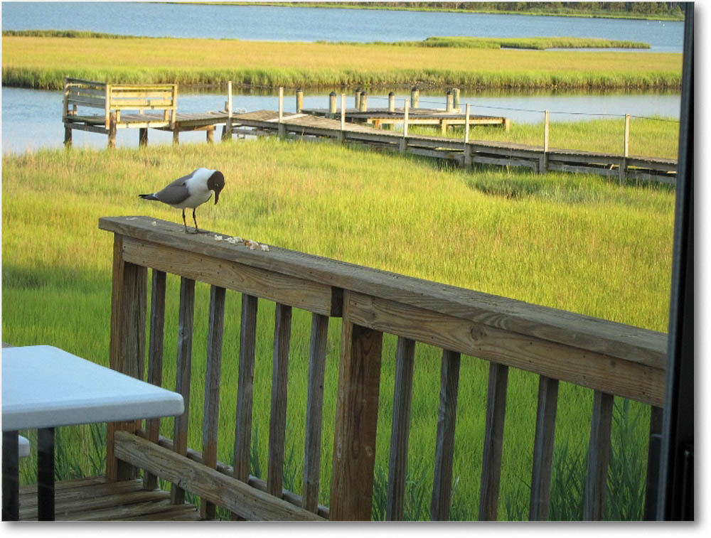 Chinco_2010June_0005 copy