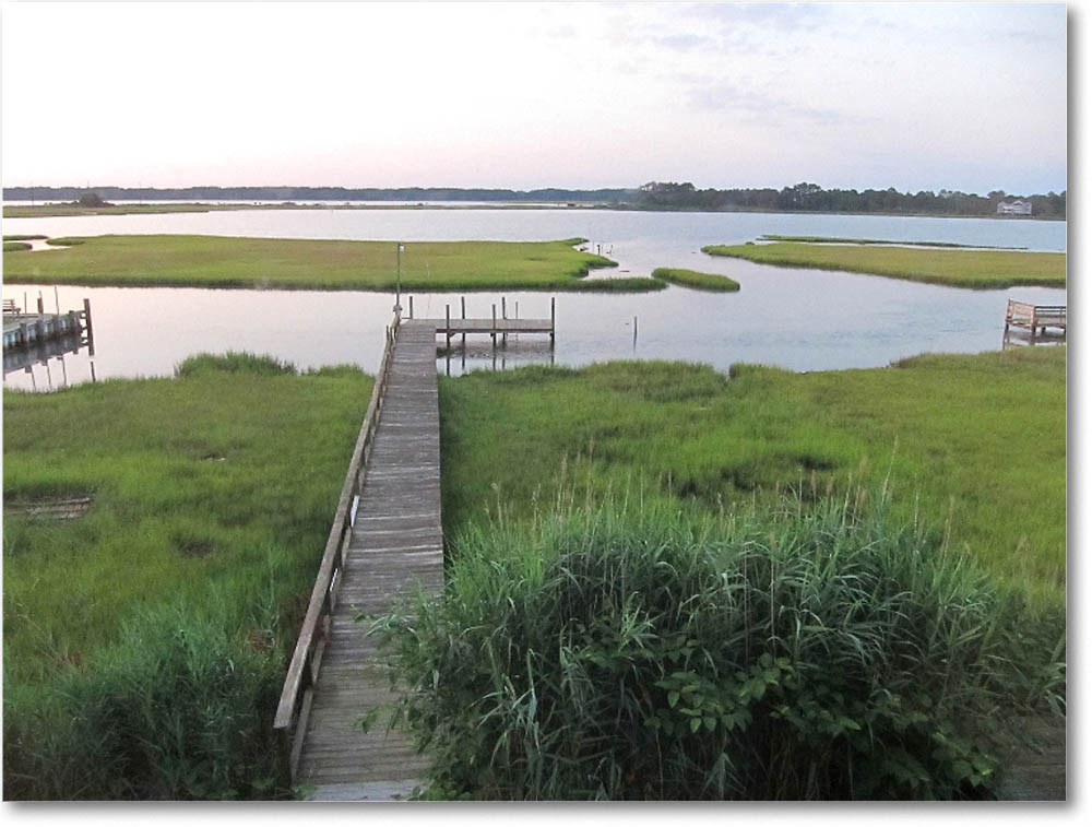 Chinco_2010June_0016 copy