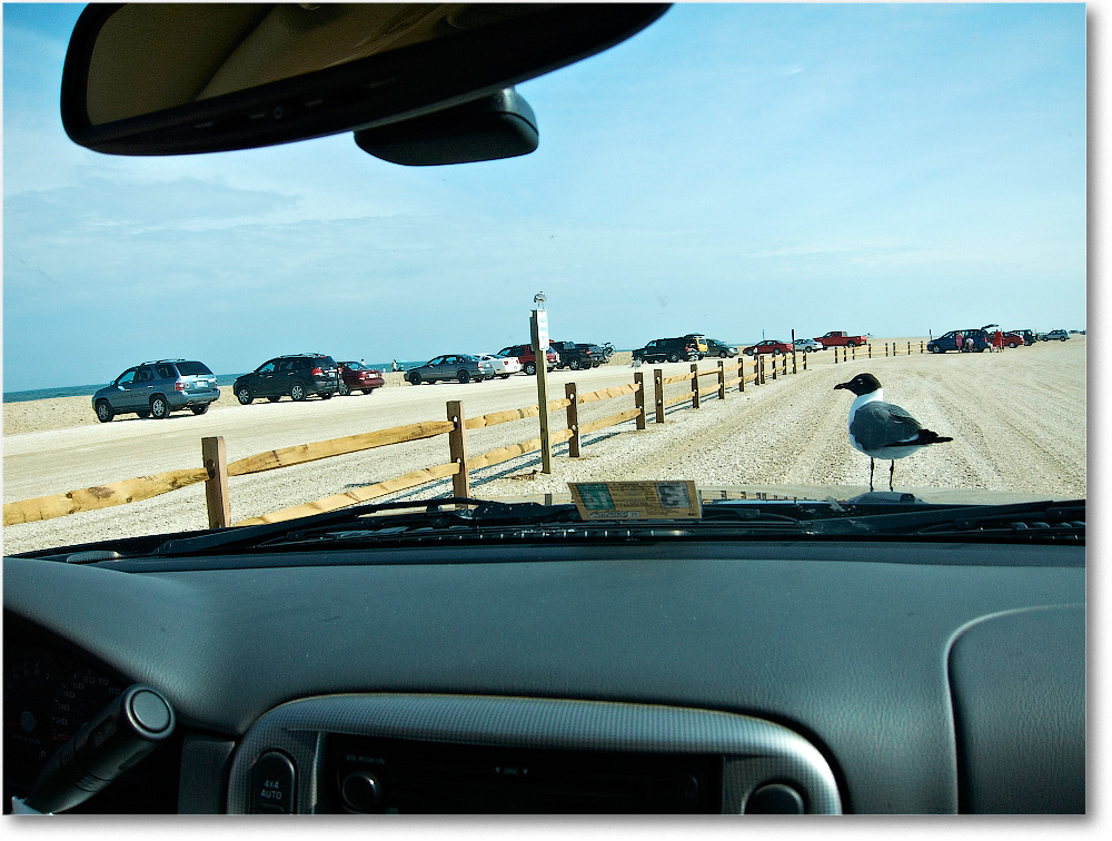 FamilyScenes-ChincoVA-2013June_IMG_2389 copy