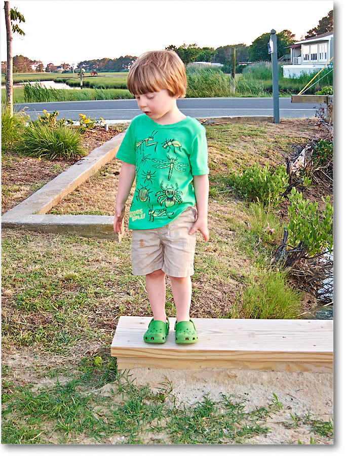 Family-Chincoteague-2014June_IMG_2698 copy