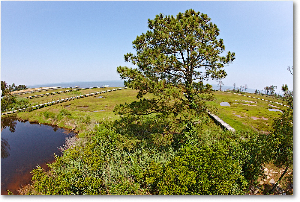 Family-Chincoteague-2014June__S3A8013 copy