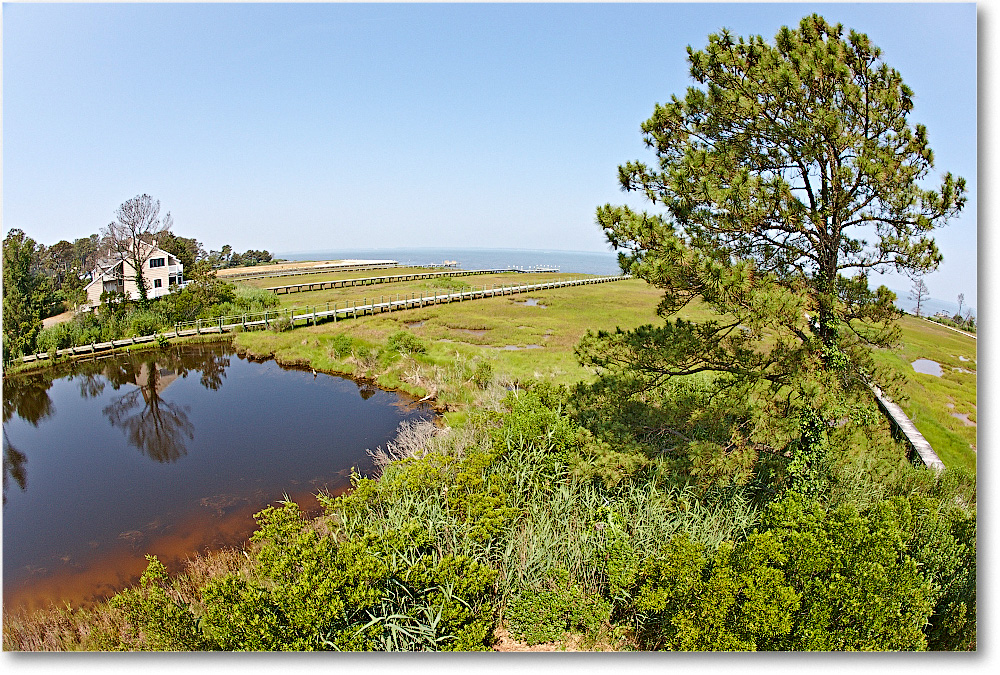 Family-Chincoteague-2014June__S3A8014 copy