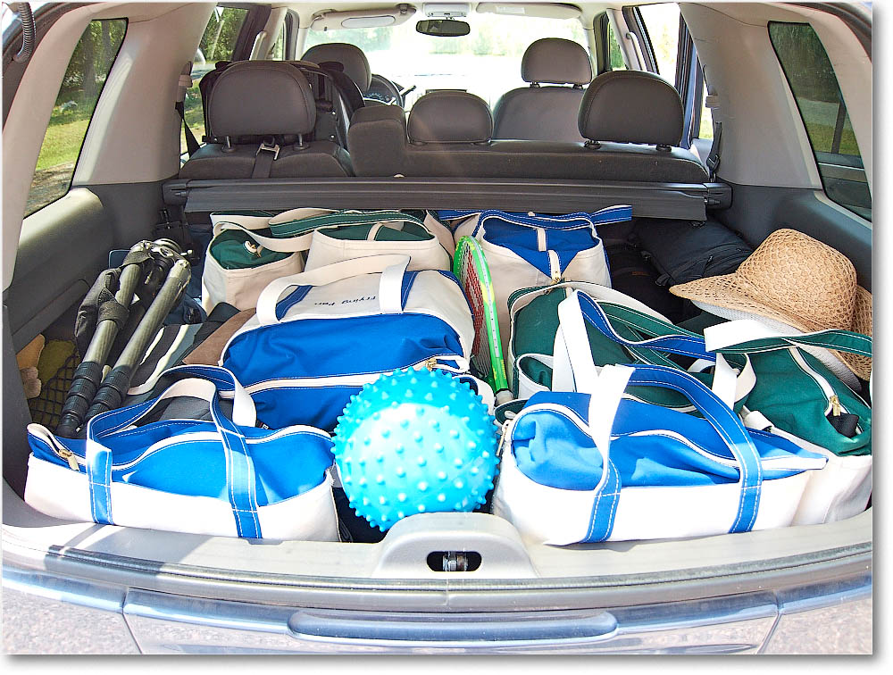 Chincoteague_2015June_IMG_2960 copy