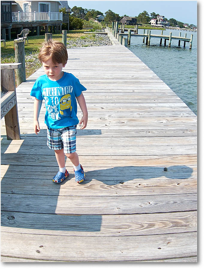 Chincoteague_2015June_IMG_2961 copy
