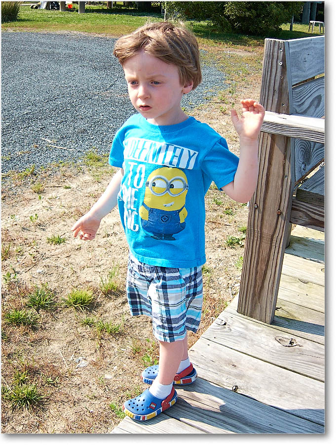 Chincoteague_2015June_IMG_2963 copy