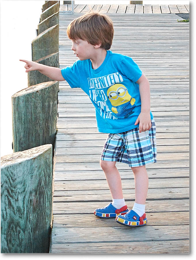 Chincoteague_2015June_IMG_2969 copy