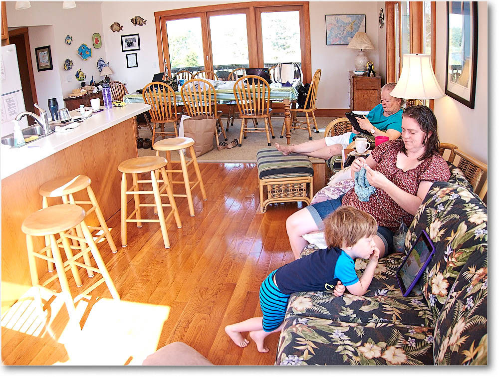 Chincoteague_2015June_IMG_2980 copy