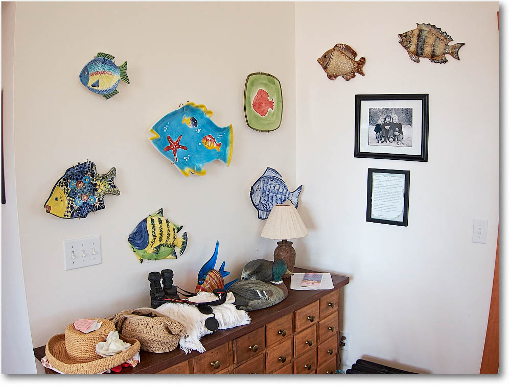 Chincoteague_2015June_IMG_2983 copy