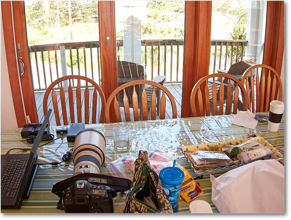 Chincoteague_2015June_IMG_2984 copy