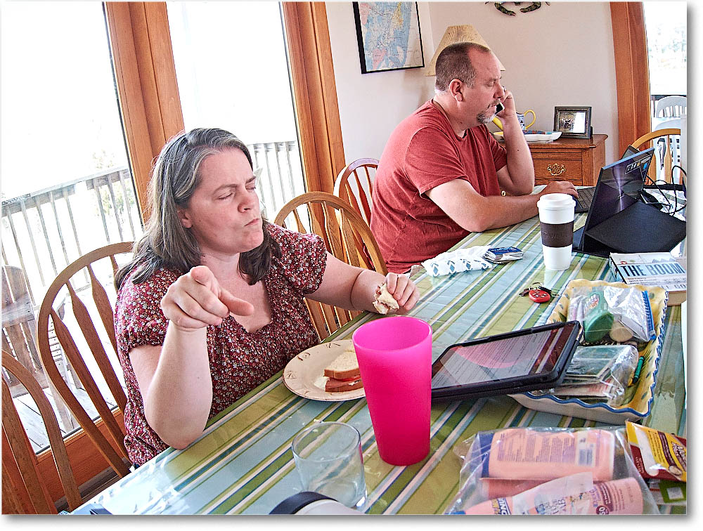 Chincoteague_2015June_IMG_2987 copy