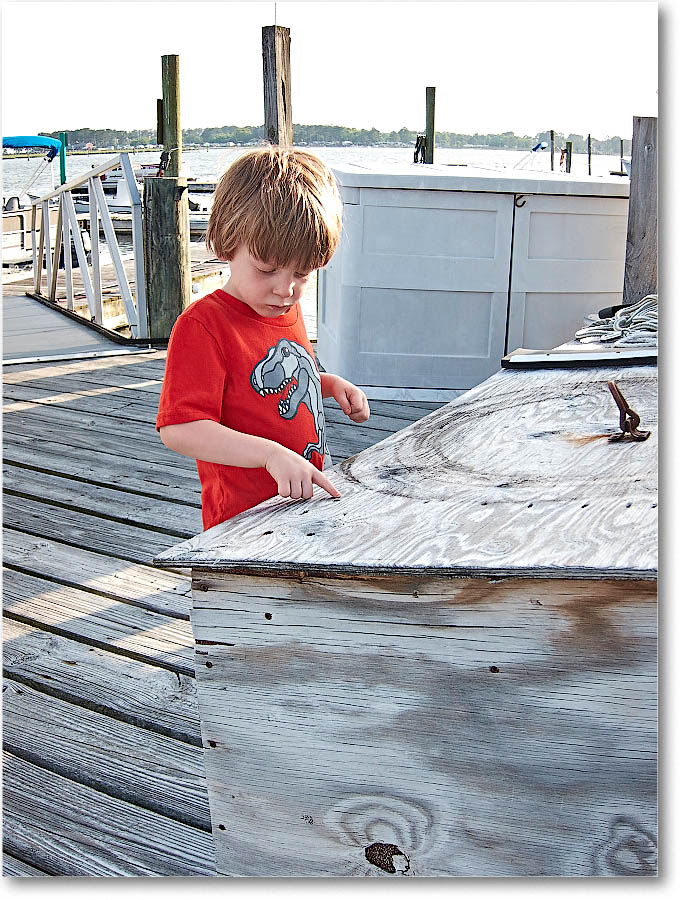 Chincoteague_2015June_IMG_3029 copy