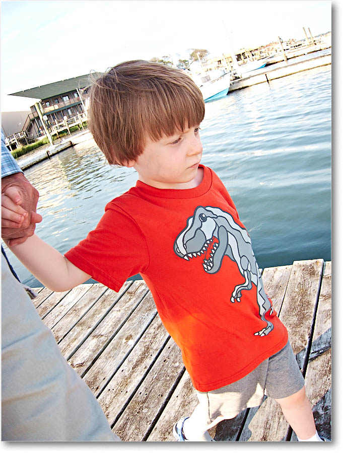 Chincoteague_2015June_IMG_3032 copy