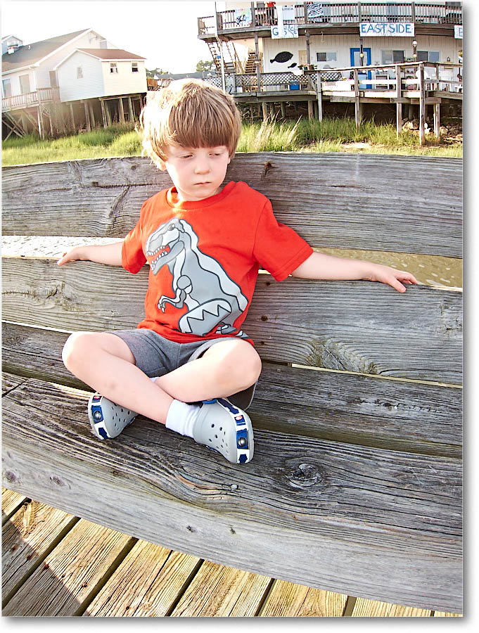 Chincoteague_2015June_IMG_3033 copy