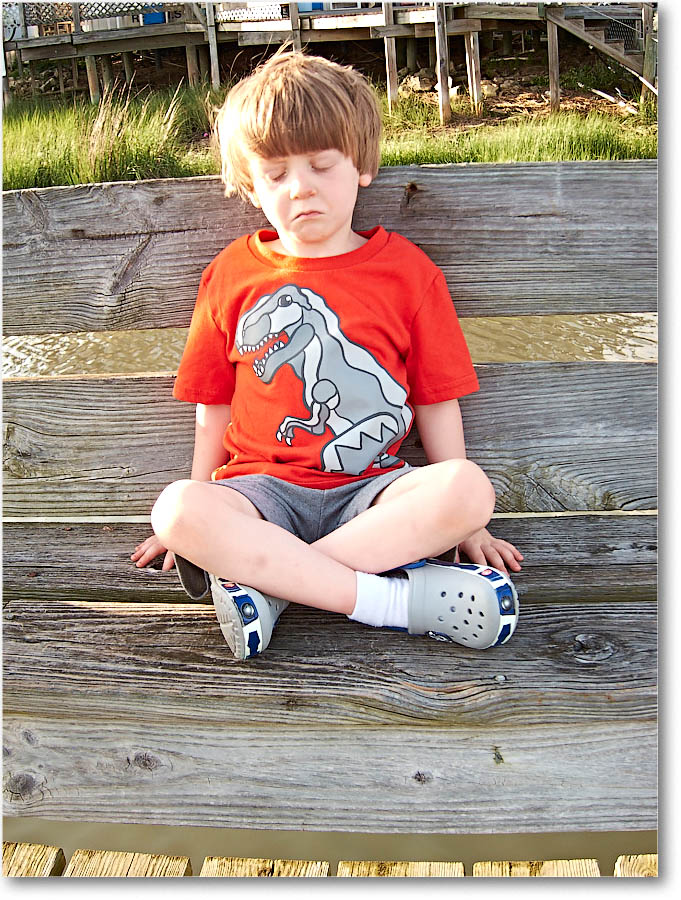 Chincoteague_2015June_IMG_3034 copy