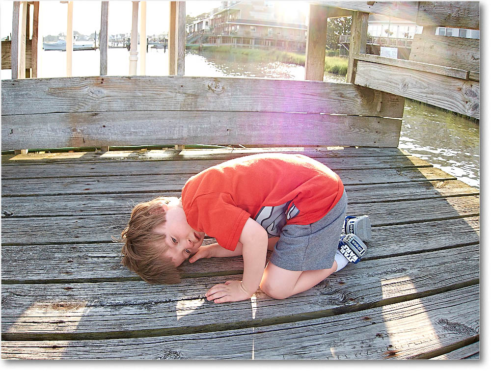 Chincoteague_2015June_IMG_3035 copy