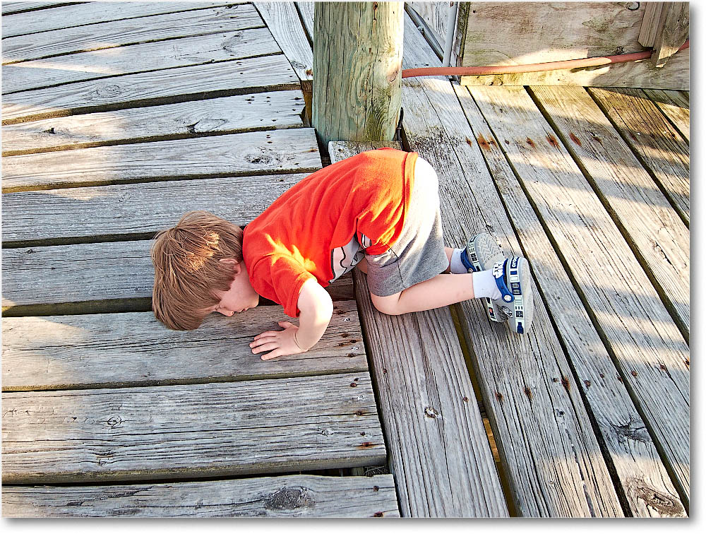 Chincoteague_2015June_IMG_3036 copy