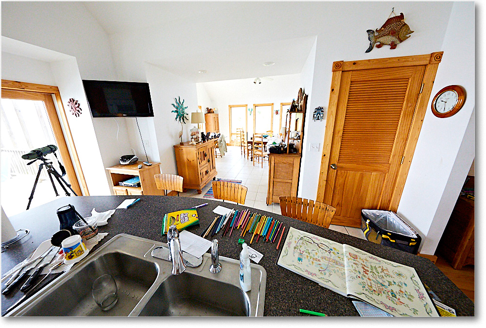 BayWatch_Chinco_2017Jun_5D4A0792 copy