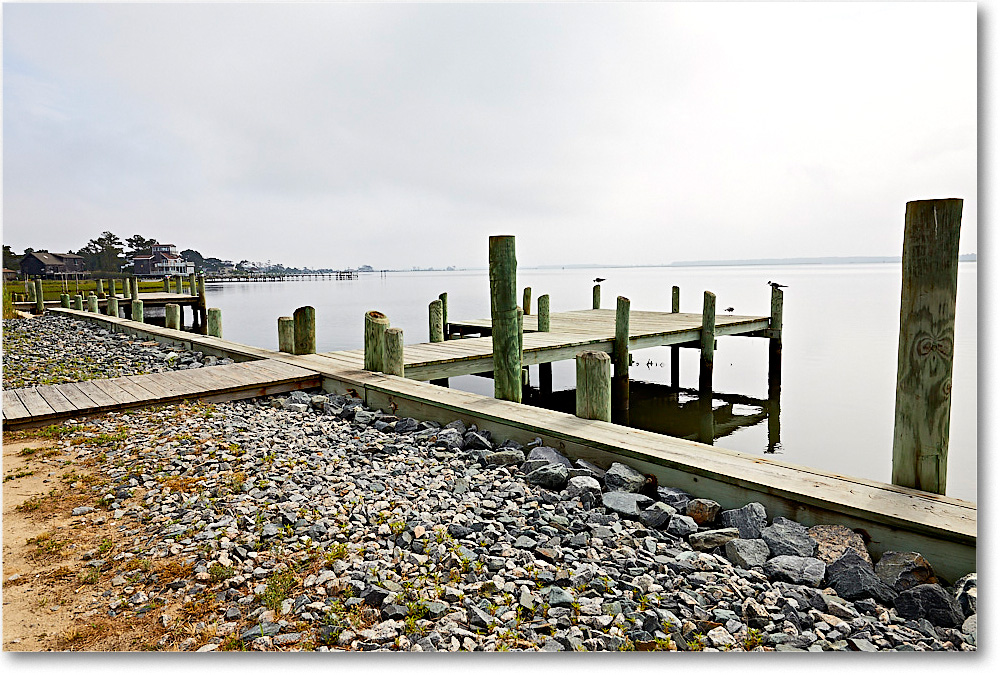 BayWatch_Chinco_2017Jun_5D4A0805 copy