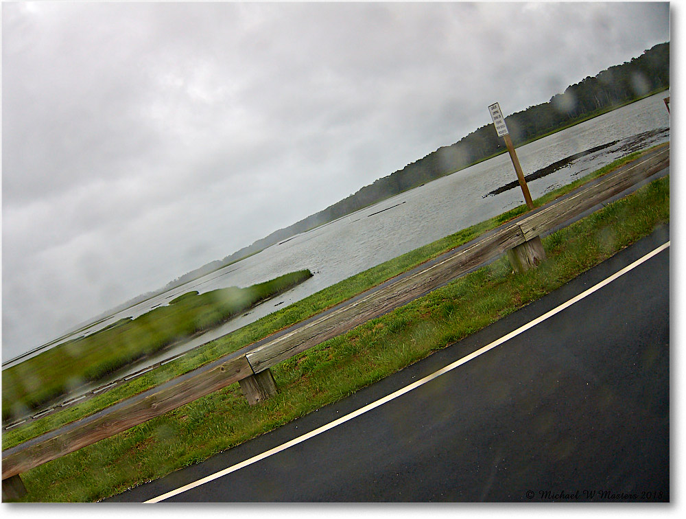 AssateagueChannel_2018Jun_IMG_3746 copy