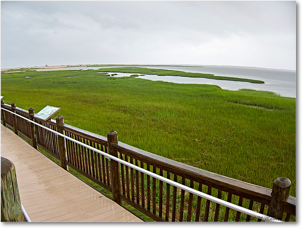 LittleTomsCove_Assateague_2018Jun_IMG_3813 copy