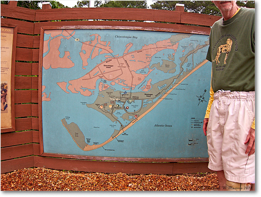 RefugeMap_Assateague_2018Jun_IMG_3753 copy