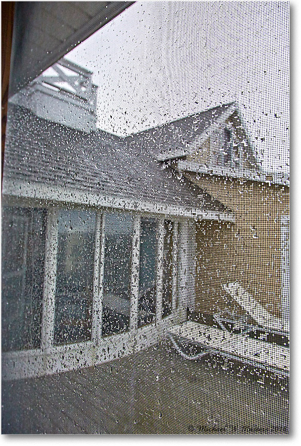 Vacation_Chincoteague_2018Jun_5D5A0776 copy