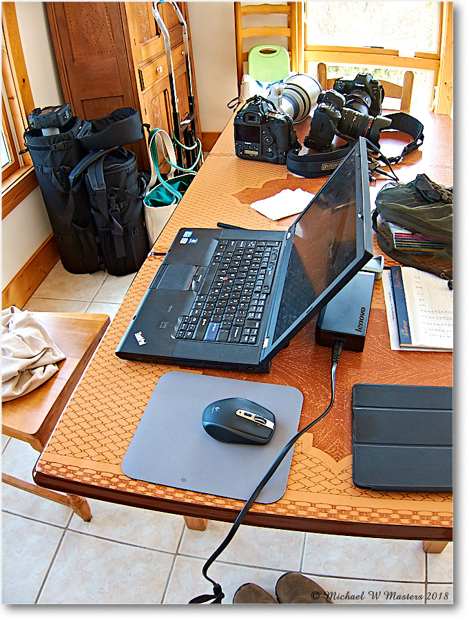 Vacation_Chincoteague_2018Jun_IMG_3733 copy