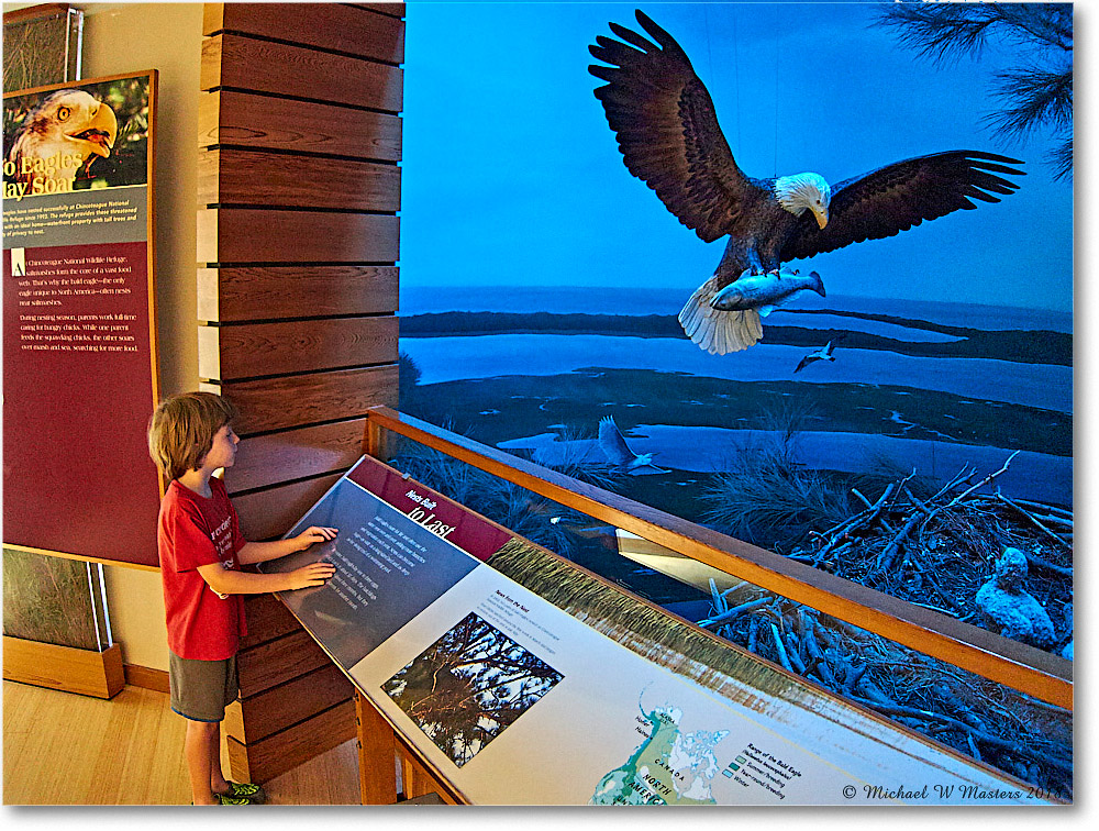 Vacation_Chincoteague_2018Jun_IMG_3761 copy