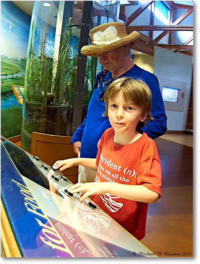 Vacation_Chincoteague_2018Jun_IMG_3776 copy