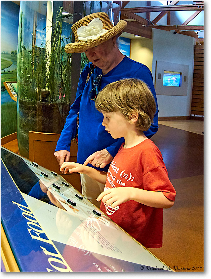 Vacation_Chincoteague_2018Jun_IMG_3778 copy