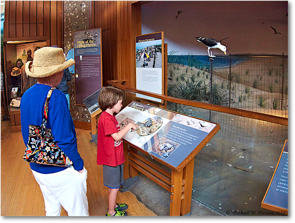 Vacation_Chincoteague_2018Jun_IMG_3782 copy