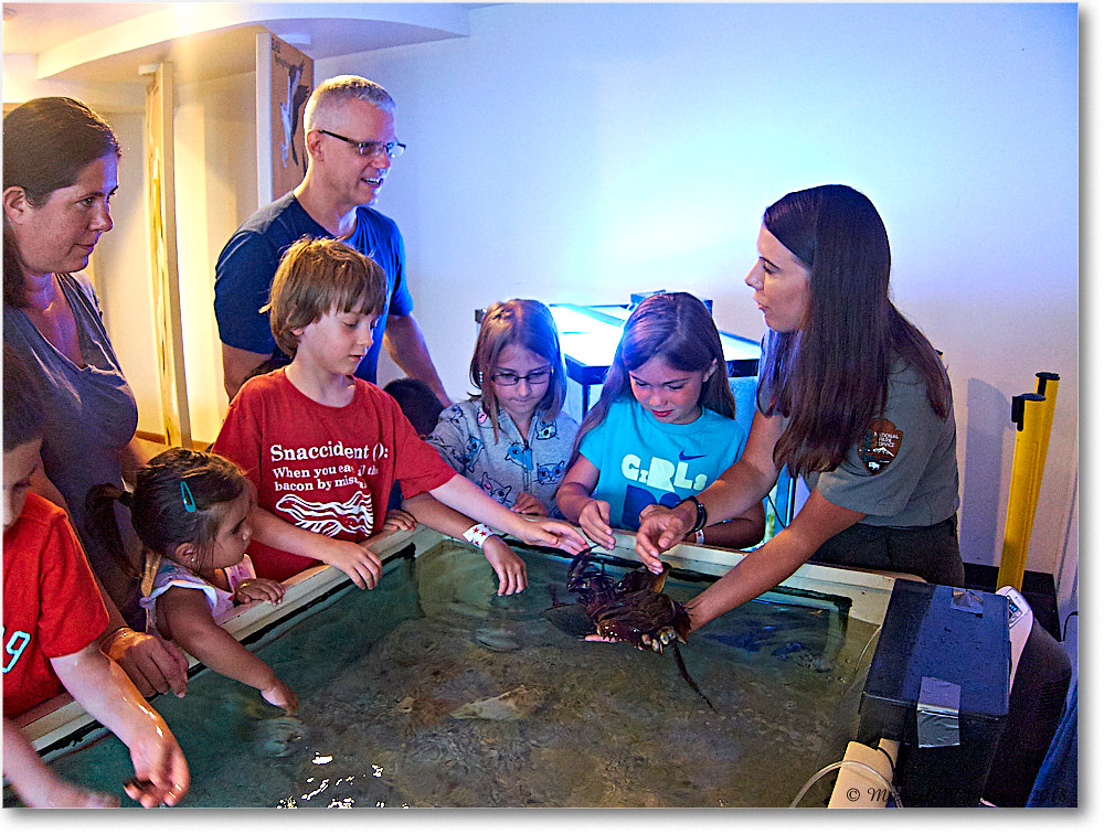 Vacation_Chincoteague_2018Jun_IMG_3801 copy