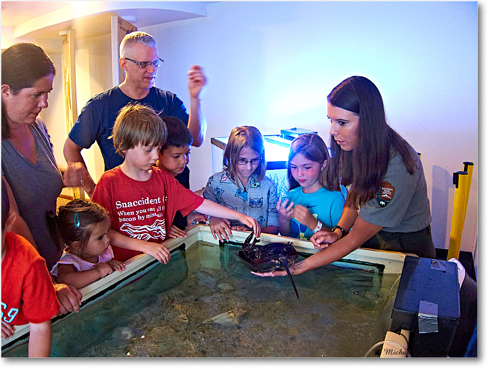 Vacation_Chincoteague_2018Jun_IMG_3804 copy