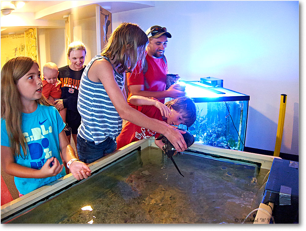 Vacation_Chincoteague_2018Jun_IMG_3807 copy