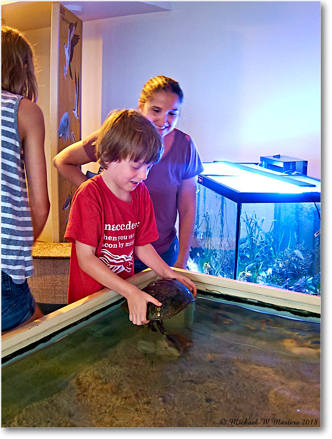 Vacation_Chincoteague_2018Jun_IMG_3809 copy