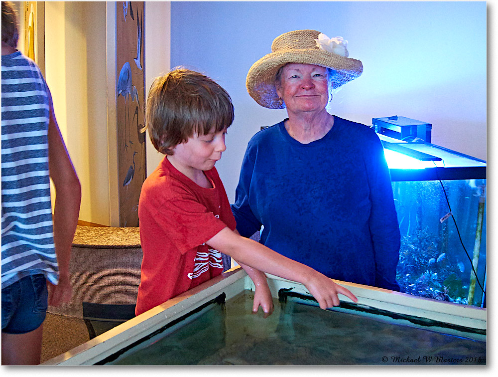 Vacation_Chincoteague_2018Jun_IMG_3810 copy