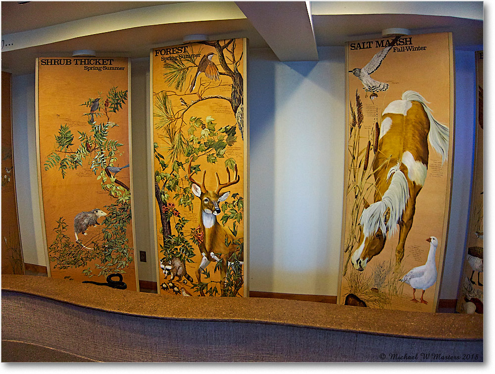 VisitorCenter_Assateague_2018Jun_IMG_3805 copy