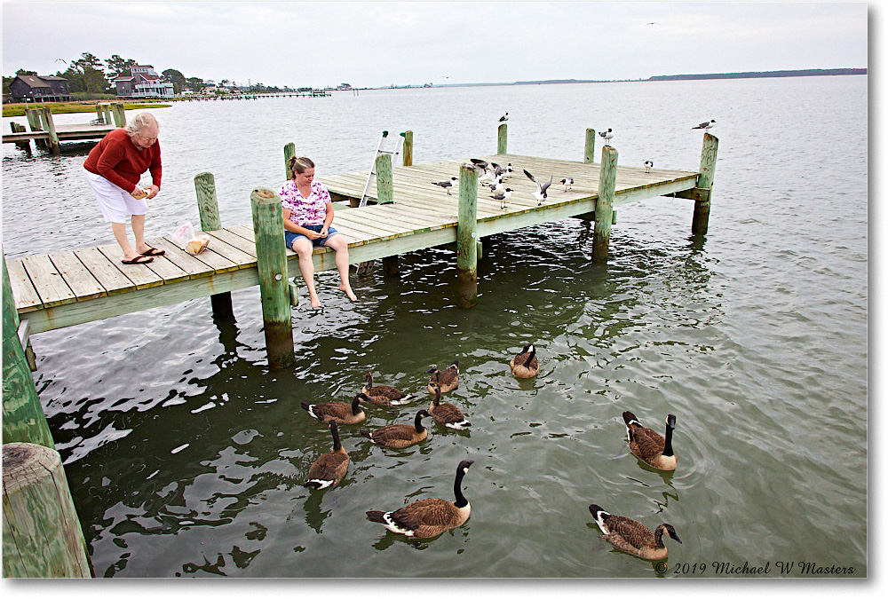Chincoteague_2019Jun_5D4A1472 copy